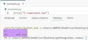 Image result for Raw Python Code File
