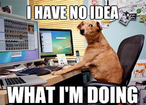 Image result for Project First Software