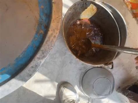 Controversy over serving non-veg food to students | સુરતની સરકારી ...