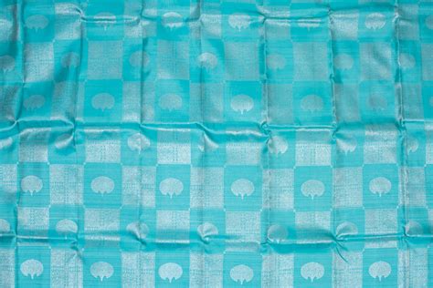 Seagreen Kanchi pattu saree – Priva Collective