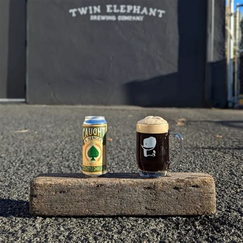 CAUGHT A HANGER | Czech Dark Lager | 5.1% – Twin Elephant Brewing Company