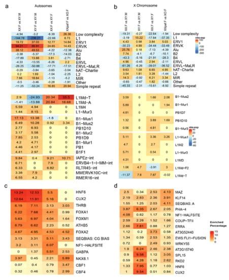 Sex Chromosomes and Sex Phenotype Contribute to Biased DNA Methylation ...