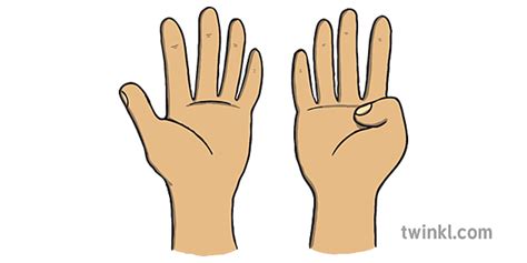 Digit 的图像结果