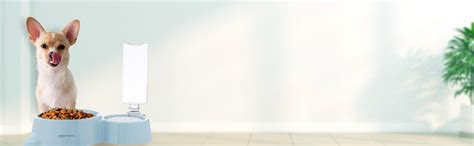 amazon basics 2 In1 Pet Feeder Food and Water Dispenser|Stainless Steel ...