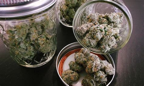 Image result for Marijuana Drying Methods