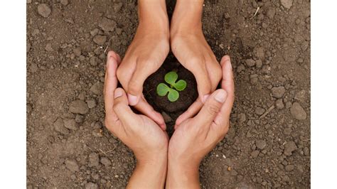 World Nature Conservation Day 2024: Wishes, Messages, Quotes, WhatsApp ...