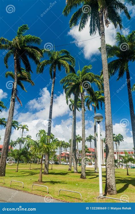 Place Des Palmistes Square in Cayenne Stock Image - Image of center, french: 132280669