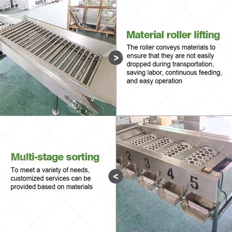 Image result for Fruit Sorting Machine