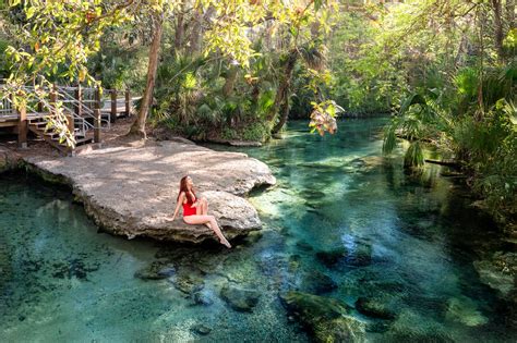 10 Best Natural Springs in Florida: The Hidden Gems of North Florida