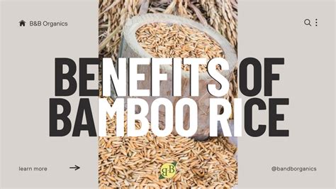 Benefits of Bamboo Rice For Diabetics? How & When To Eat? – B&B Organics