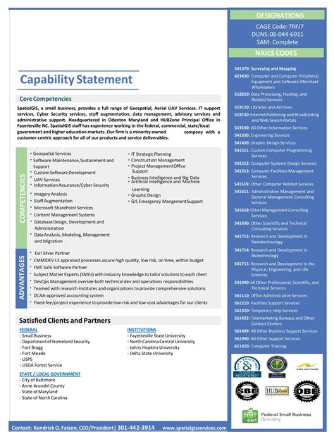 Image result for Capability Statement Sample