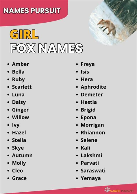 320+ Girl Fox Names [Cute, Famous, & Mythical] in 2025 | Best character names, Name inspiration ...