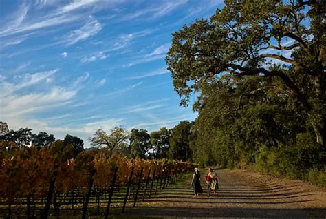 Activities - Fairmont Sonoma Mission Inn & Spa