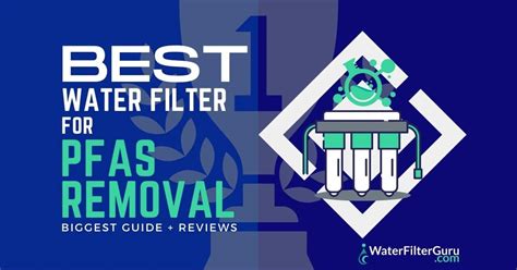 Pfas Filter System 的图像结果