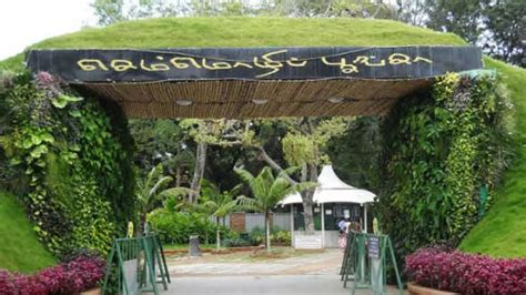 Semmozhi Poonga foot overbridge projects put on hold despite rising ...