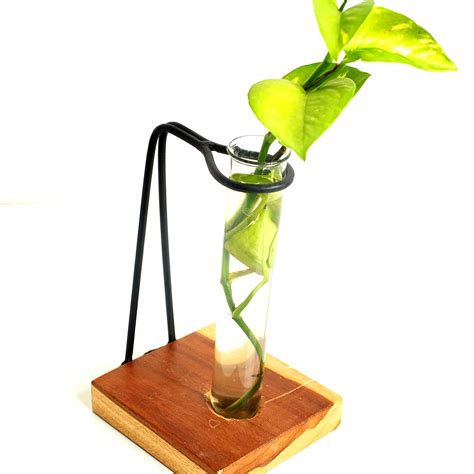 Test Tube Table Top | Desk | Planter for Office, Home Balcony, Living ...