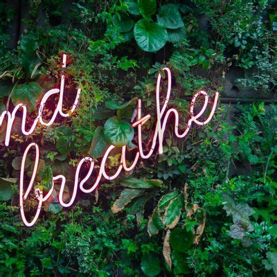 Breathing exercises & Mindful activities to ease into December & New ...