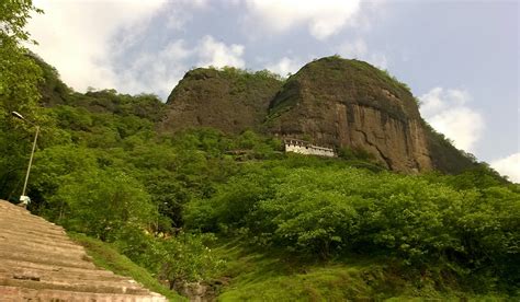 Top 10 Places To Go Birdwatching—Mumbai | Nature inFocus