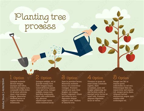 Image result for Tree-Planting Steps