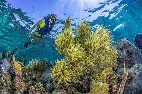 Full-day tour to Tulum and Snorkel Native Park | Cancun, Mexico