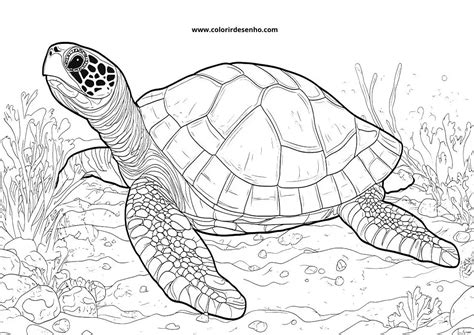 Rezultat imagine pentru Turtle Interactive Simple Simon