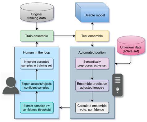 Synergizing Deep Learning-Enabled Preprocessing and Human–AI ...