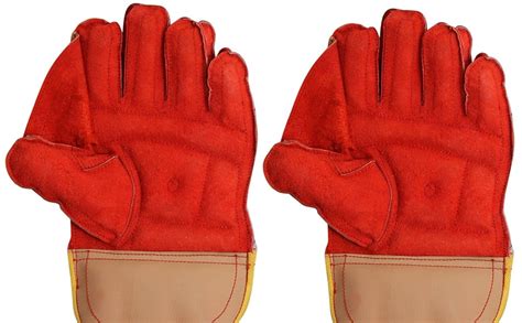 Buy RS Retails™ | RS-315 Wicket Keeping Gloves, Premium Leather Palm ...