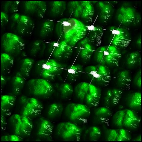 Image result for Protein Crystallization System