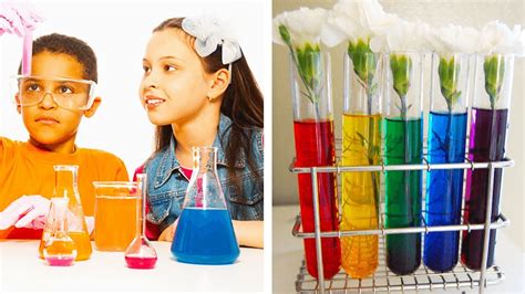 Cool DIY Science Projects 的图像结果