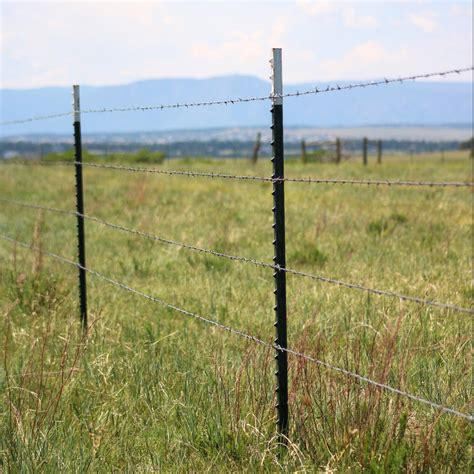 Setting T Posts 的图像结果