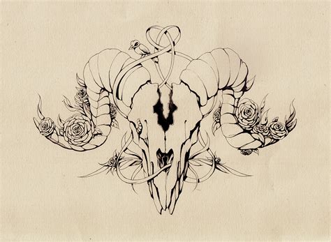 Image result for Skull Exploding Ink Drawing