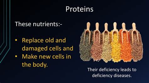 Image result for Paste Pictureof Components of Food Class 6