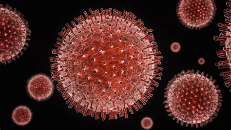 不要以为做完一次新型冠状病毒抗体测试就没事了_行业新闻_上海凯创生物技术有限公司