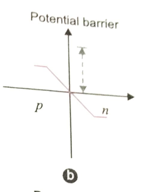 In a forward biased `PN`- junction diode, the potential barrier in the ...