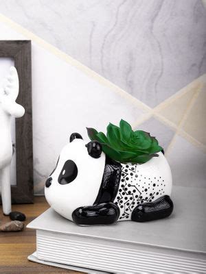 Buy Tayhaa Black Succulent Artificial Plant with Pot Online