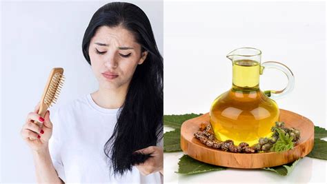 झड़ते बालों के लिए सबसे अच्छा तेल: लगाएं अरंडी का तेल और पाएं ये 3 ...