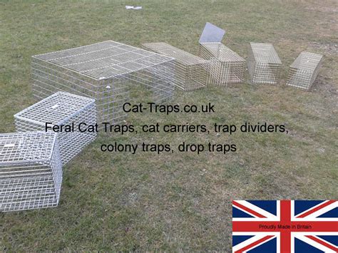 Free Cat Traps 的图像结果