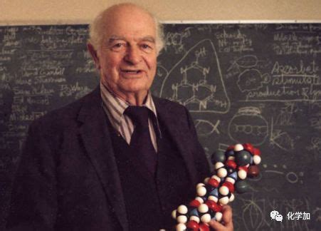 横跨生物学和医学领域的“天才化学家”晚年又为何沦为“被嘲弄的科学家” ——纪念化学大师鲍林逝世25周年