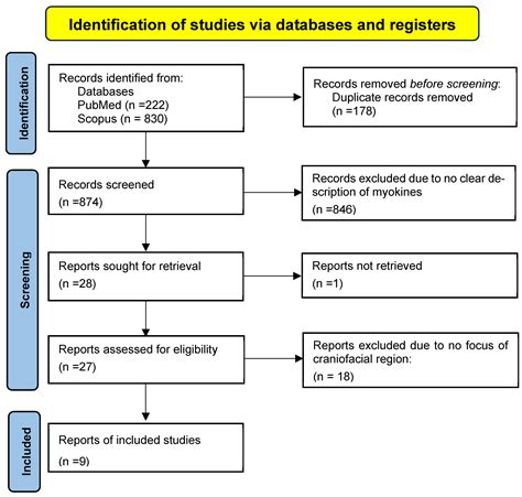 Role of Myokines on the Bone Metabolism of Craniofacial Region: A ...
