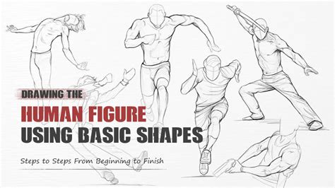 Image result for Basic Human Figure Drawing