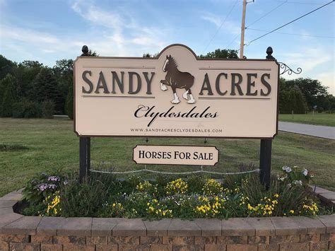 Sandy Acres Clydesdales (La Porte) - All You Need to Know BEFORE You Go