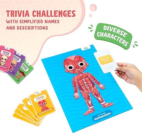 Buy Bloomingo The Human Body Puzzles for Kids | My Human Body Online at ...