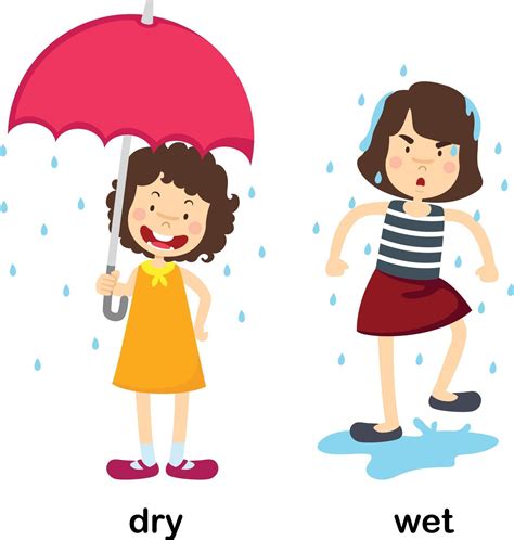 Opposite words for dry and wet ... | Stock vector | Colourbox