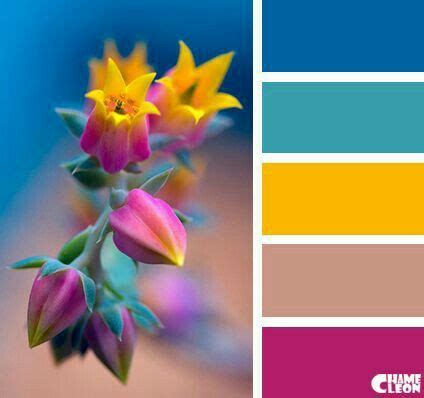 Image result for Bright Color Schemes