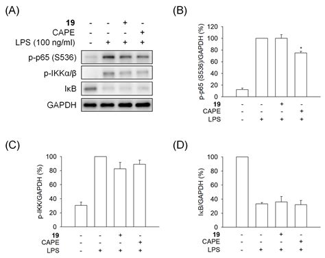 Development of (4-Phenylamino)quinazoline Alkylthiourea Derivatives as ...