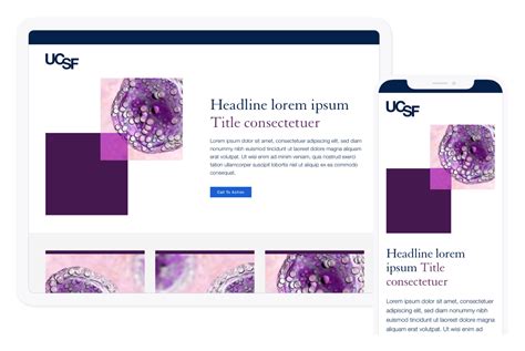 Image result for Types of Visual Framework