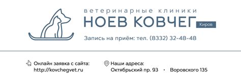Ветклиника, Киров - Ноев Ковчег. | Ветеринарная клиника Ноев Ковчег г ...