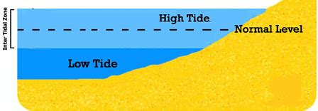 Movements of ocean water: Waves, Tides and Ocean Currents - UPSC PDF ...