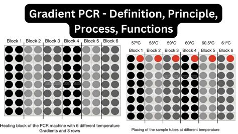 Image result for NMR Spectroscopy Explained
