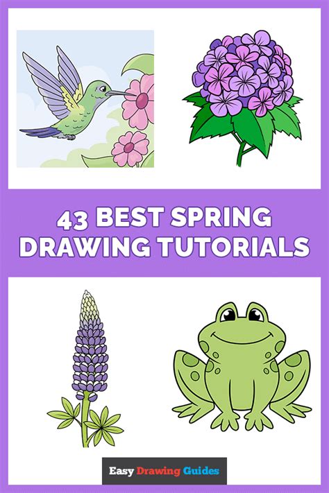 Image result for Step by Step Spring Drawing